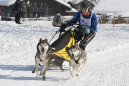 Lenk 2012 SM